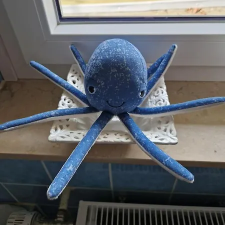 Gruene Auszeit נידגן